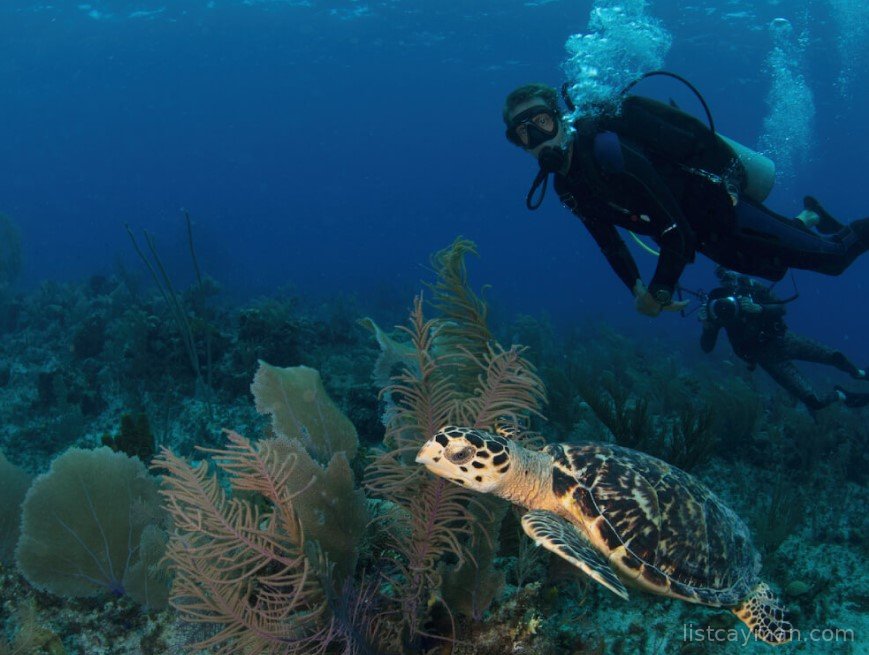 Dive Instructor With a Romantic Side photo 2